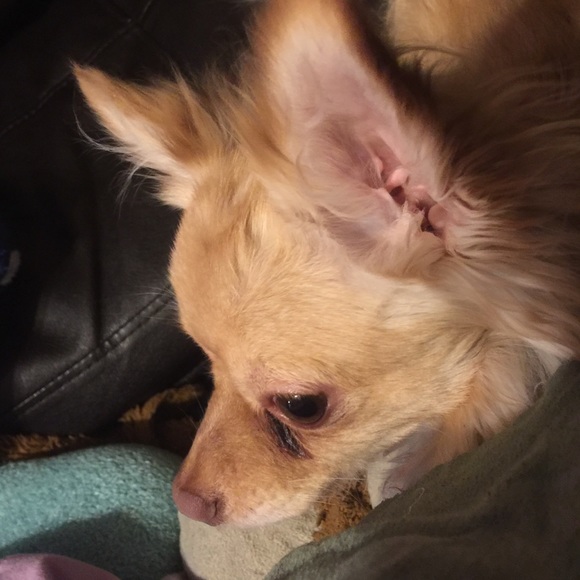 Meet your Posher, Mandi