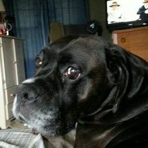 Meet your Posher, Jodi