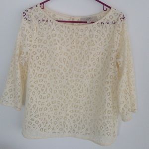 Beautiful Lace 3/4 blouse