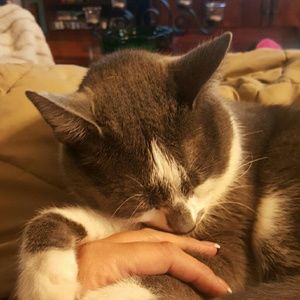 Meet your Posher, Joy