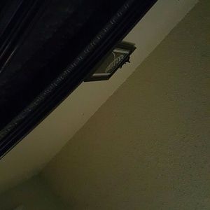 Meet your Posher, Isabella