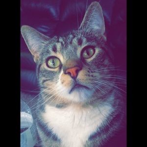 Meet your Posher, Angie