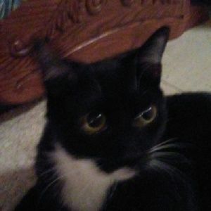 Meet your Posher, Marianne