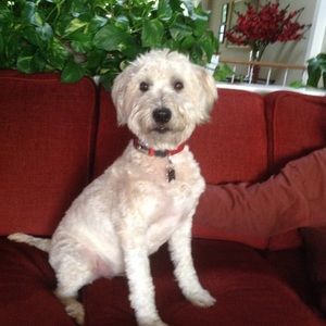 Meet your Posher, Pamela