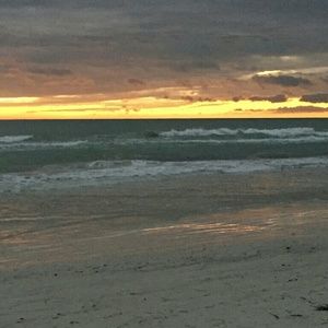 Meet your Posher, Sammy