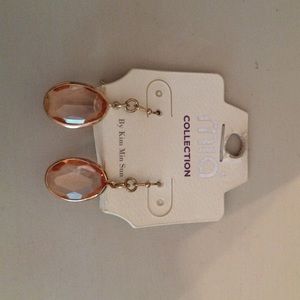 A brand new never worn earrings