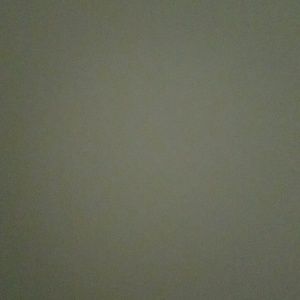 Meet your Posher, Maya