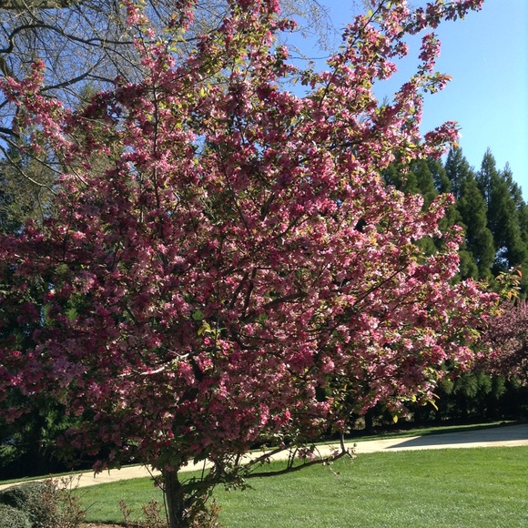 Meet your Posher, Emilia - Picture 1 of 1