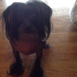 Meet your Posher, Dawn