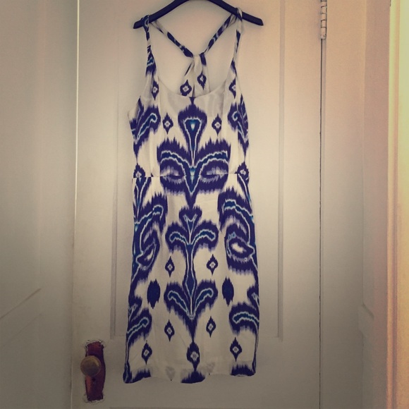 Banana Republic Silk Dress Size 12
