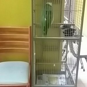 Meet your Posher, Candida