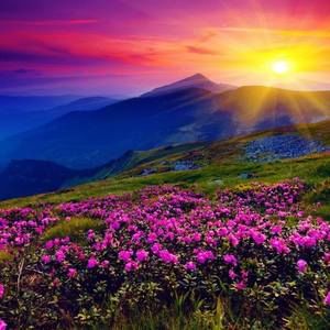 Meet your Posher, Miyako