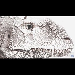 Meet your Posher, Keely