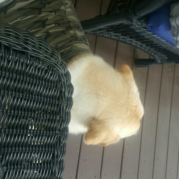 Meet your Posher, Meredith