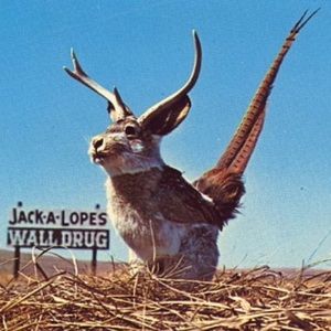 Meet your Posher, Gerald