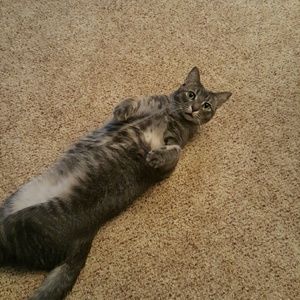 Meet your Posher, Hanna