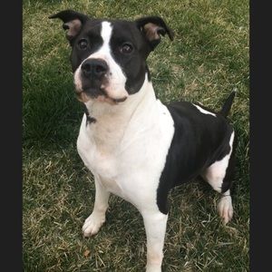 Meet your Posher, Marie