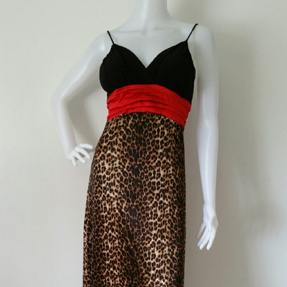 Cheetah Print Dress
