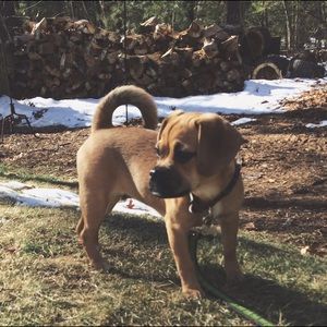 Meet your Posher, Abby