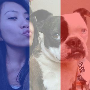 Meet your Posher, Shelly