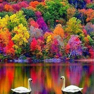 Meet your Posher, Alma