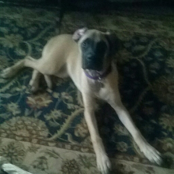 Meet your Posher, Tera - Picture 1 of 1