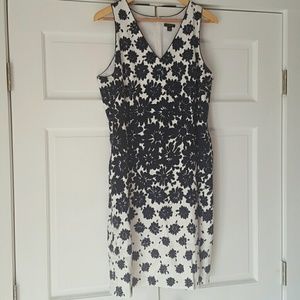 Beautiful Ann Taylor summer dress