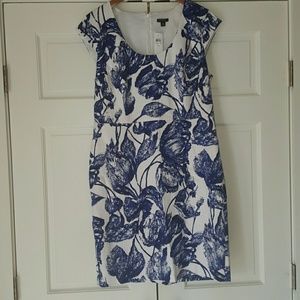 NWT Beautiful Ann Taylor summer dress
