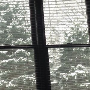 Meet your Posher, Bell