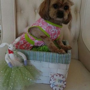 Meet your Posher, Maryanne