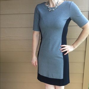 JCrew fitted dress