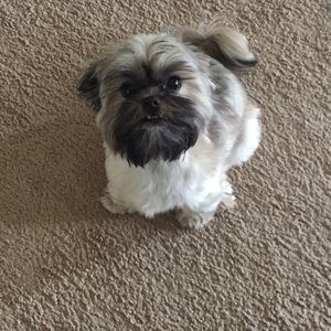 Meet your Posher, Marcela