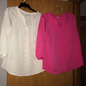 Elle Dress Shirt Lot