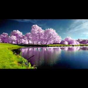 Meet your Posher, Denise