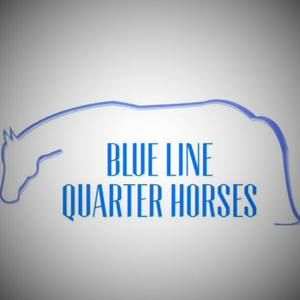 Meet your Posher, Trish