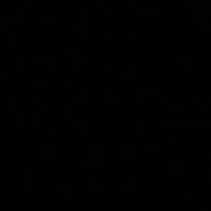 Meet your Posher, Mary ann a