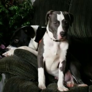 Meet your Posher, Miranda