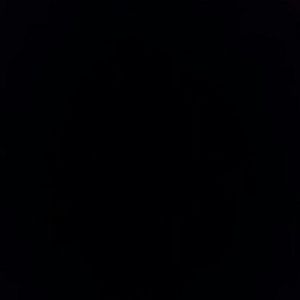 Meet your Posher, Tawnya