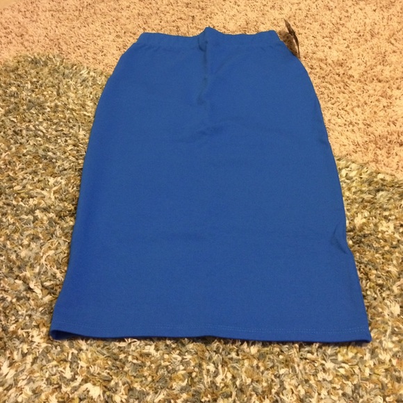 Brand New Pencil Skirt