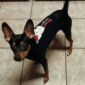 Meet your Posher, Cindy