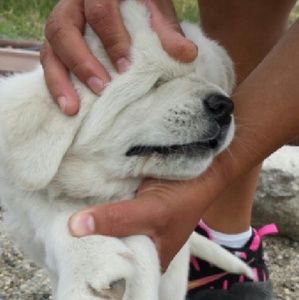 Meet your Posher, Ayde