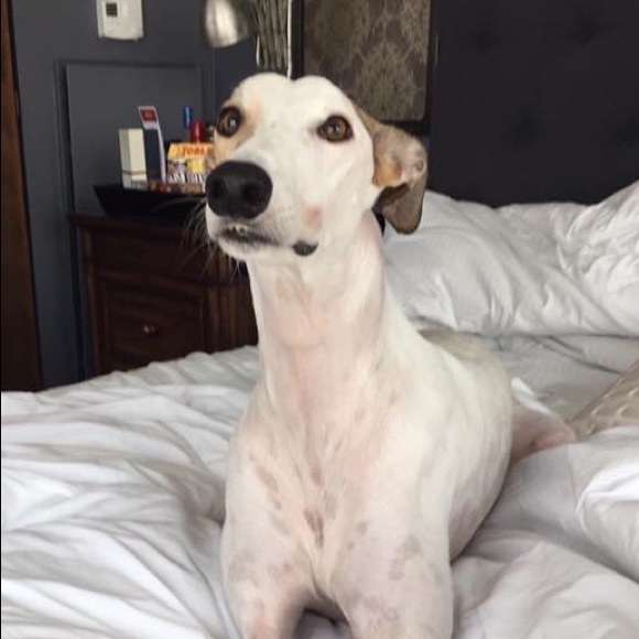 ABOUT ME: Modern Mode - Picture 2 of 4