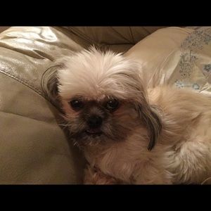 Meet your Posher, Chereena