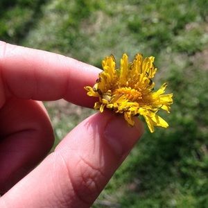 Meet your Posher, Chaney