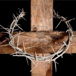 Meet your Posher, Jillian