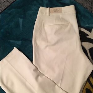 Ann Taylor Pants