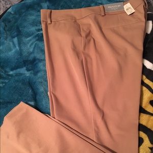 Ann Taylor Slim Leg Pants