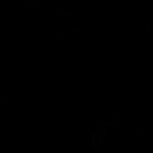 Meet your Posher, Tanya