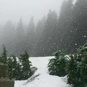 Meet your Posher, Joanne