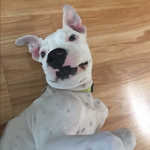 Meet your Posher, Sal